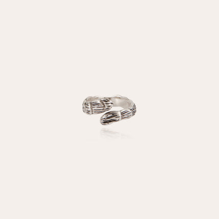 Anillo Liane plateado