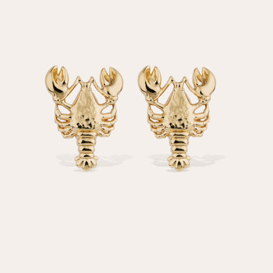 Boucles d'oreilles puce Homarea