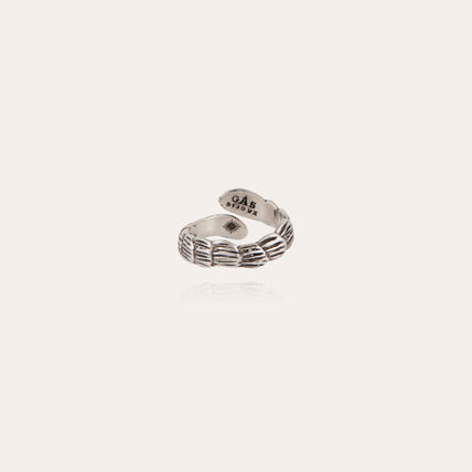 Anillo Liane plateado